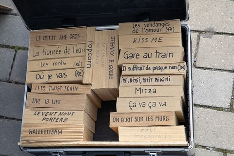 cartons