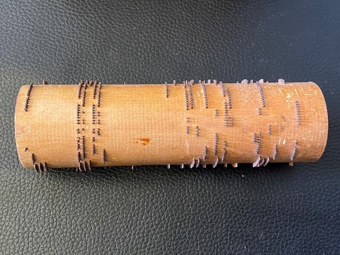 rouleau orgue