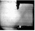 vortex transitoire
